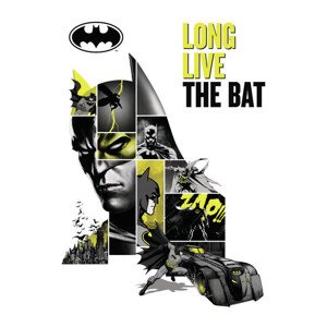 Umělecký tisk Batman - Long Live The Bat, 26.7 × 40 cm