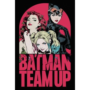 Umělecký tisk Batman - Team Up, 26.7 × 40 cm