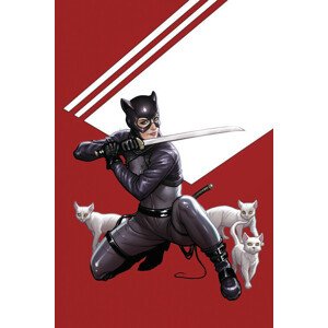 Umělecký tisk Catwoman - Cats, 26.7 × 40 cm