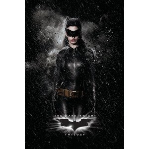 Umělecký tisk The Dark Knight Trilogy - Catwoman, 26.7 × 40 cm
