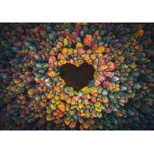 Fotografie Heart Shape In Autumn Forest, borchee, 40 × 26.7 cm