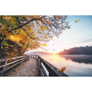 Fotografie Falling Autumn Leaves By The Lake, borchee, 40 × 26.7 cm