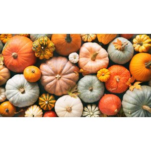 Fotografie Various fresh ripe pumpkins as background, AlexRaths, 40 × 22.2 cm