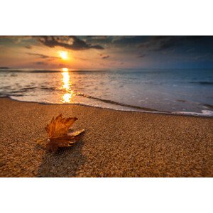 Fotografie Beautiful sunrise over the sea and leaf. Autumn concept., valio84sl, 40 × 26.7 cm