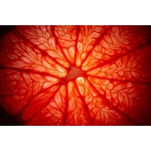 Fotografie Grapefruit cure closeup, Stefan Cristian Cioata, 40 × 26.7 cm
