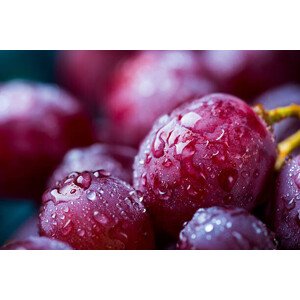 Fotografie Red grape, DragonFly, 40 × 26.7 cm