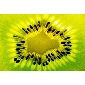 Fotografie Fresh kiwi fruit slice, Stefan Cristian Cioata, 40 × 26.7 cm