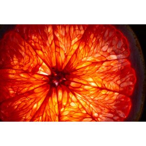 Fotografie Mature orange fruit slice back lit, Stefan Cristian Cioata, 40 × 26.7 cm