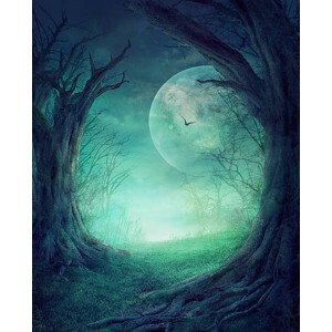 Ilustrace Halloween Spooky Forest, mythja, 30 × 40 cm