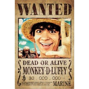 Plakát, Obraz - One Piece - Wanted Monkey D. Luffy, 61 × 91.5 cm