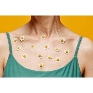 Ilustrace Summer Daisy Girl, SeventyFour, 40 × 26.7 cm