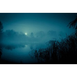 Fotografie Night mystical scenery. Full moon over, stsmhn, 40 × 26.7 cm