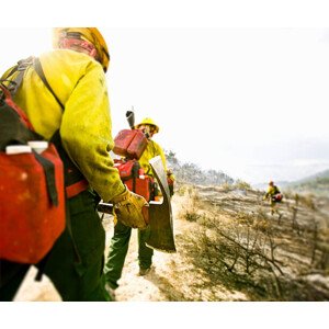 Fotografie Forest firefighters walking with pickaxes, rear, Tyler Stableford, 40 × 33.2 cm