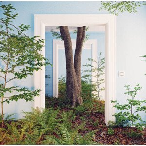 Fotografie deep forest floor in the room interior., vicnt, 40 × 40 cm