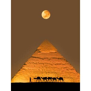 Fotografie Camel train and pyramid, Grant Faint, 30 × 40 cm