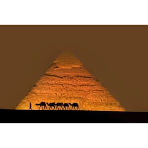 Fotografie Camel train near pyramids., Grant Faint, 40 × 26.7 cm