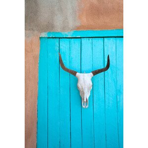 Ilustrace Long horn cow skull on wall., Grant Faint, 26.7 × 40 cm