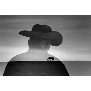 Ilustrace Silhouette of cowboy and scenic view, Grant Faint, 40 × 26.7 cm