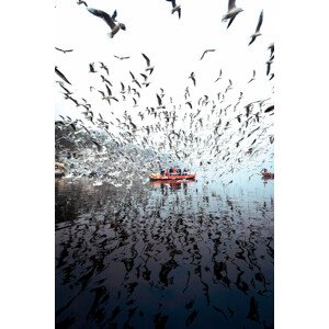 Fotografie Limitless at Yamuna Ghat, Arun R Hegden, 26.7 × 40 cm