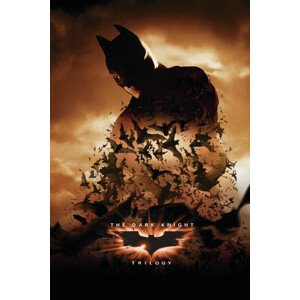 Umělecký tisk The Dark Knight Trilogy - Bats, 26.7 × 40 cm