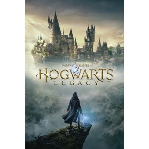 Umělecký tisk Harry Potter - Hogwarts Legacy, 26.7 × 40 cm