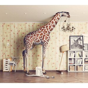 Fotografie giraffe  in the living room, vicnt, 40 × 35.4 cm