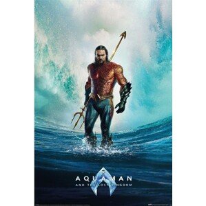 Plakát, Obraz - Aquaman and the Lost Kingdom - Tempest, 61 × 91.5 cm