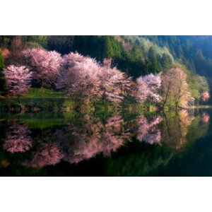 Fotografie Another World, Takeshi Mitamura, 40 × 26.7 cm