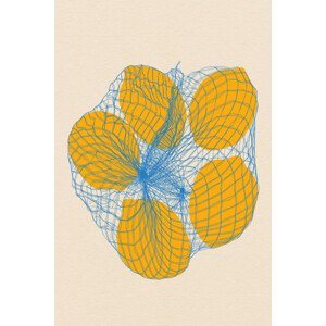 Ilustrace Five Lemons In a Net Bag, Rosi Feist, 26.7 × 40 cm