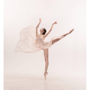 Fotografie Young graceful tender ballerina on white, master1305, 40 × 40 cm