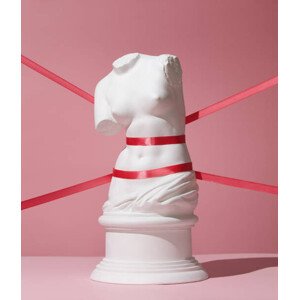 Fotografie Plaster torso of Venus tied with ribbons, lambada, 34.3 × 40 cm