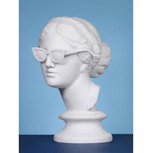 Fotografie Plaster head wearing sunglasses, lambada, 30 × 40 cm