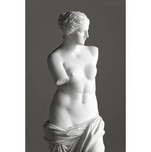 Fotografie Venus de Milo on grey, 221A, 26.7 × 40 cm