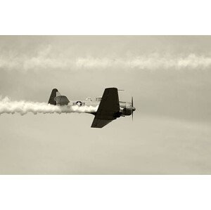 Fotografie Wartime airplane, MMADIA, 40 × 26.7 cm