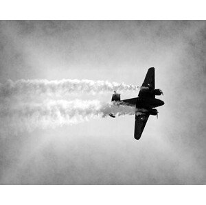 Fotografie Old airplane in flight, icholakov, 40 × 30 cm