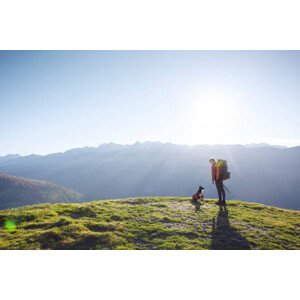 Fotografie Hiker and rescue dog on grassy hill, Switzerland, 40 × 26.7 cm