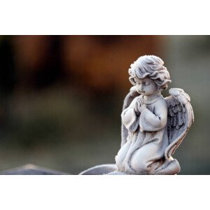 Fotografie Angel statue in winter.  Cemetery., Pascal Deloche / Godong, 40 × 26.7 cm