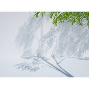Fotografie 3D rendering exhibition background, yuanyuan yan, 40 × 30 cm