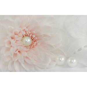 Fotografie Pink chrysanthemum, longtaildog, 40 × 26.7 cm