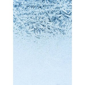 Fotografie Frost on the window, Poike, 26.7 × 40 cm