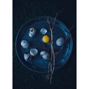 Fotografie Eggs, Aleksandrova Karina, 30 × 40 cm