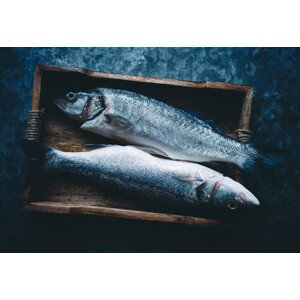 Fotografie Two fishes, Aleksandrova Karina, 40 × 26.7 cm
