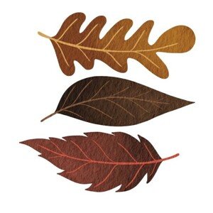 Fotografie Three brown fall leaves watercolor illustration, ToBeeLife, 40 × 40 cm