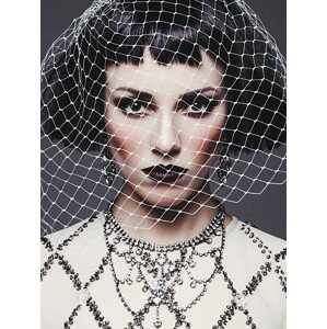 Fotografie Beautiful woman with veil, lambada, 30 × 40 cm