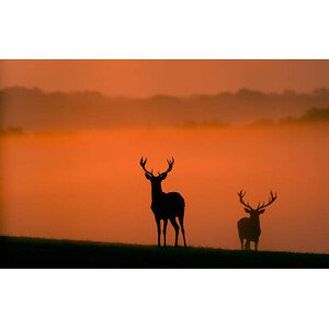 Fotografie Behind you, MarkBridger, 40 × 26.7 cm
