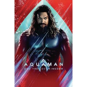 Umělecký tisk Aquaman and the Lost Kingdom - Arthur, 26.7 × 40 cm