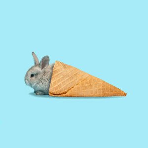 Ilustrace Adorable Easter bunny isolated on blue, master1305, 40 × 40 cm