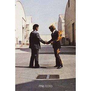 Plakát, Obraz - Pink Floyd - Wish You Were Here, 61 × 91.5 cm