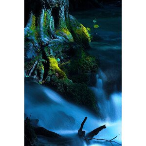 Fotografie Running creek, nyul, 26.7 × 40 cm