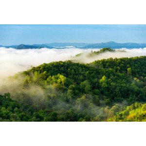 Fotografie Beautiful mist over green forest on mountain., NirutiStock, 40 × 26.7 cm